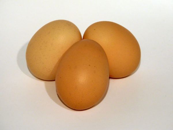 Oeufs