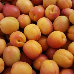 abricot espagne au-potager-de-becheret