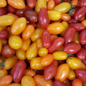 tomates cerises 2018 au-poatger-de-becheret©